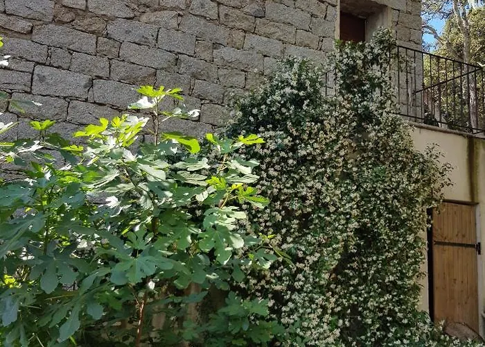 Bed and breakfast D'hotes Barraconu Porto Vecchio