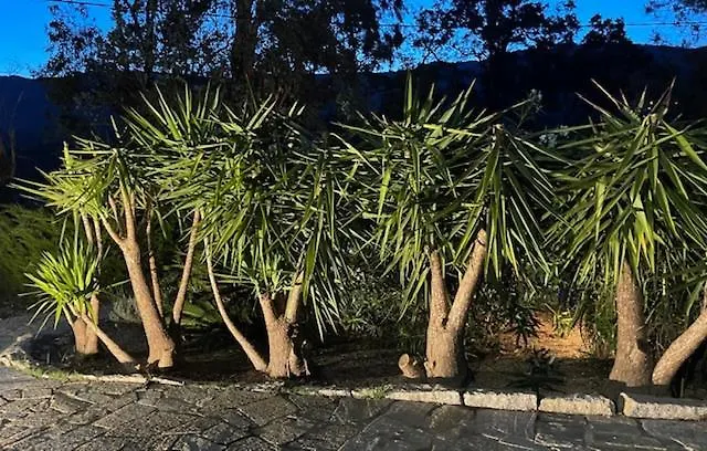 Bed and breakfast D'hotes Barraconu Porto Vecchio