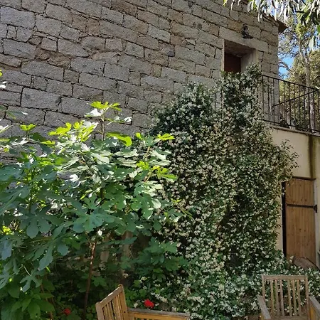 Couette-café D'hôtes Barraconu Porto-Vecchio (Corsica)