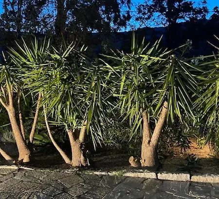 Bed & Breakfast D'hotes Barraconu Porto-Vecchio (Corsica)